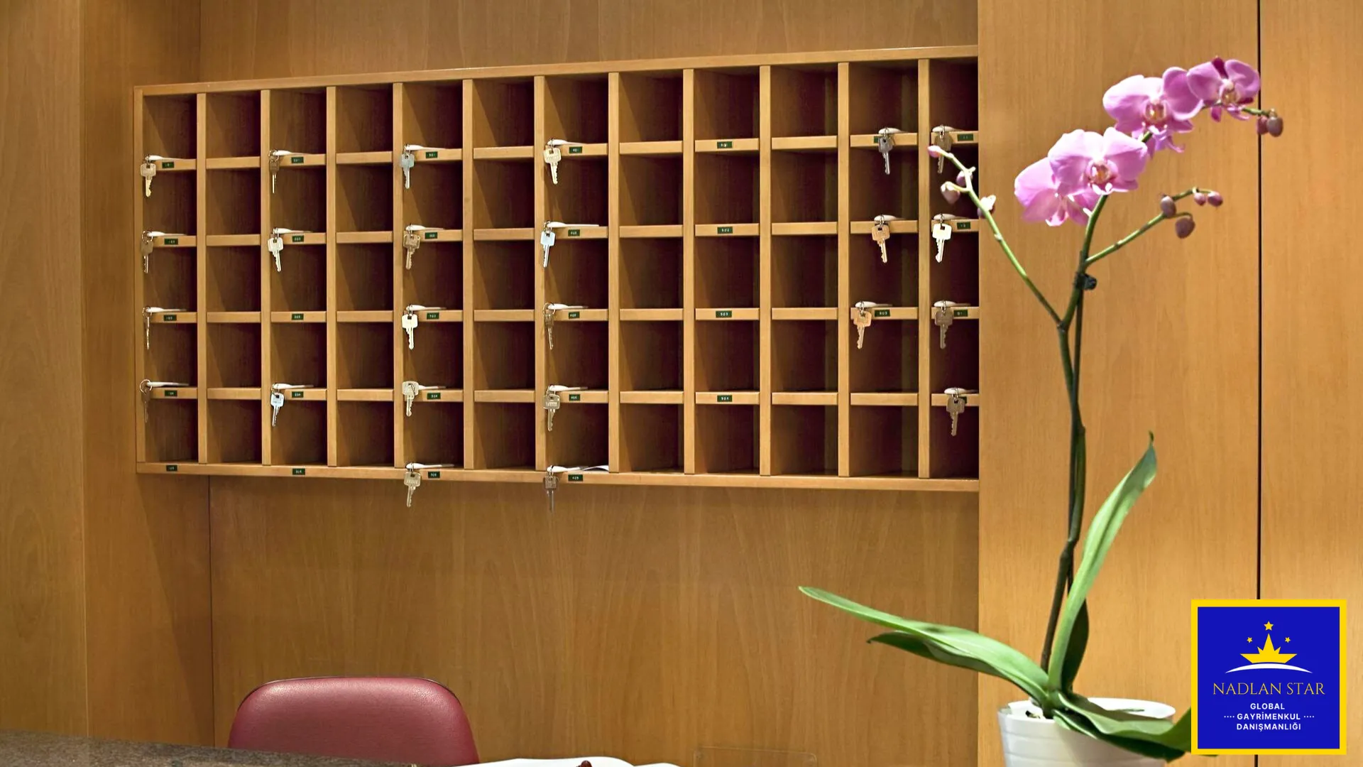 Atina’nın Kalbinde Yenilenmiş Lüks Otel Yatırım Fırsatı